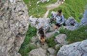 30 Dori tocca a te, stavolta non sei cucciola e ce la farai !
